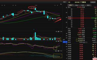 广田股份爆料信息最新,揭秘公司战略布局与市场动向  第1张